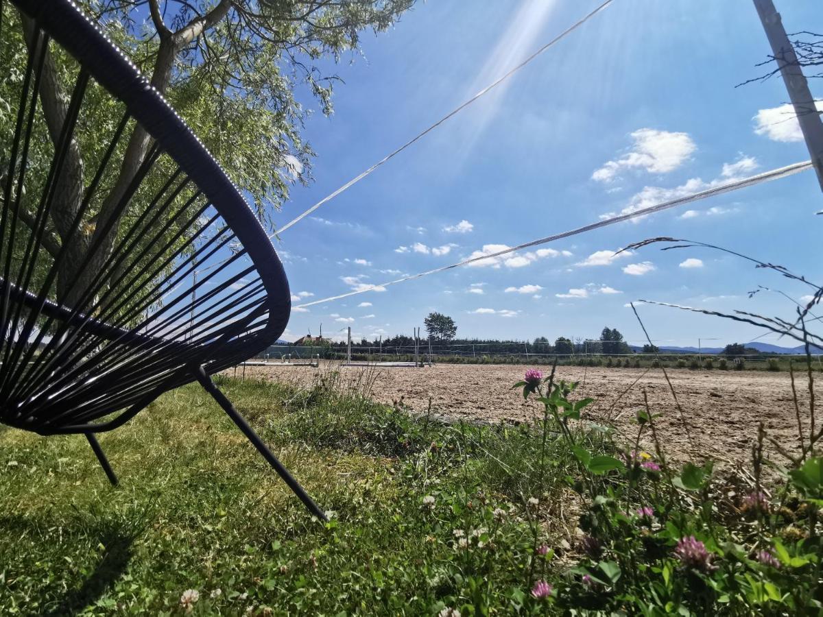 Vila Podkowa Modliszów Exteriér fotografie