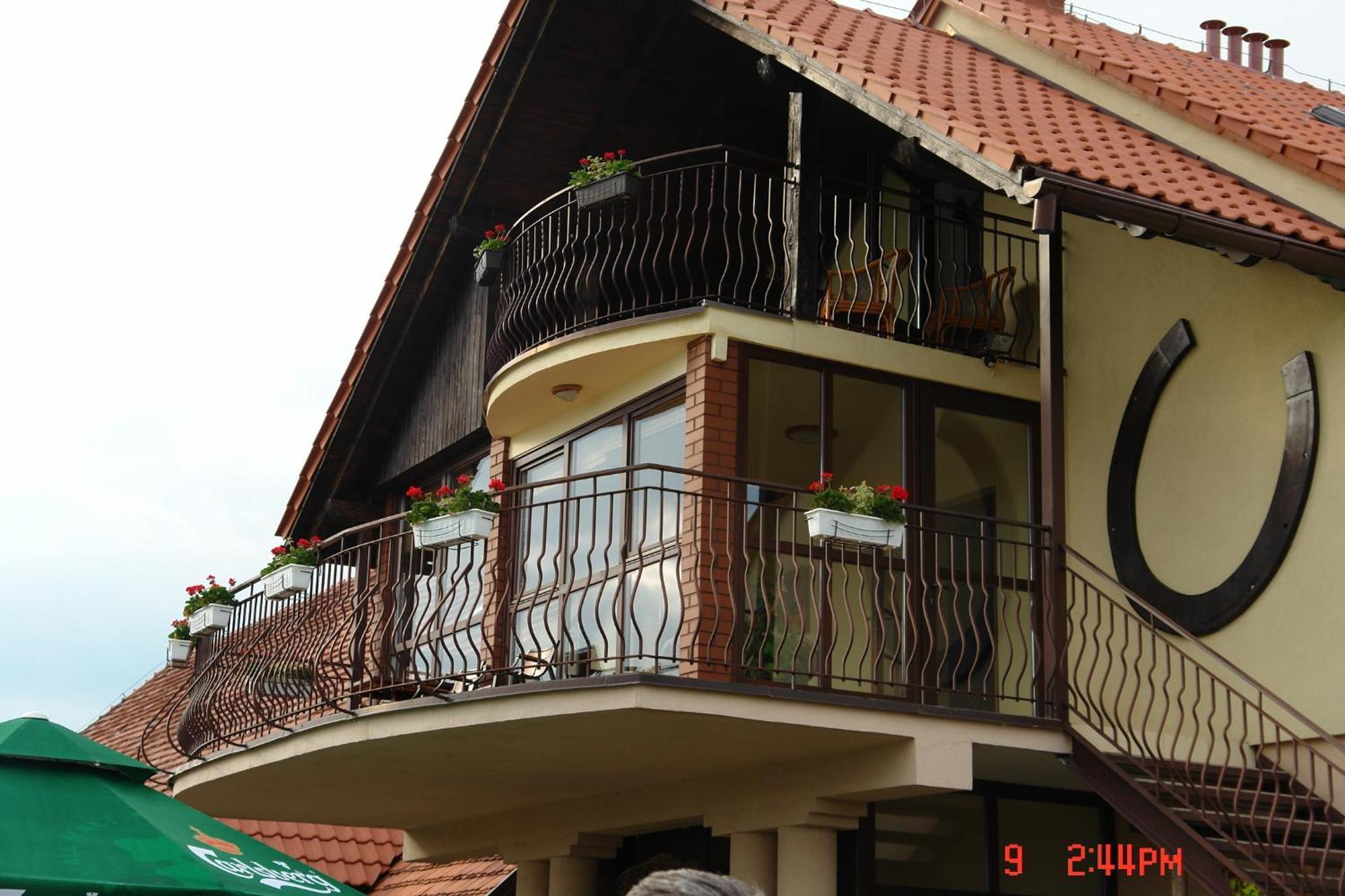 Vila Podkowa Modliszów Exteriér fotografie