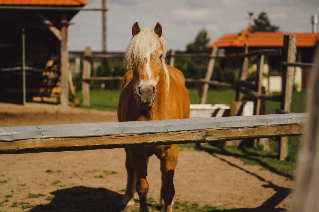Vila Podkowa Modliszów Exteriér fotografie