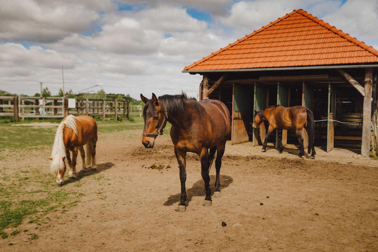 Vila Podkowa Modliszów Exteriér fotografie